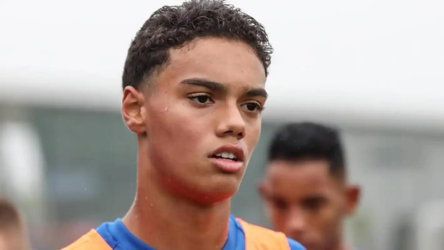 这一情节堪 这一情节堪