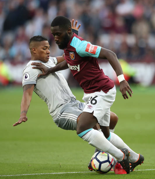 表现充满期 表现充满期